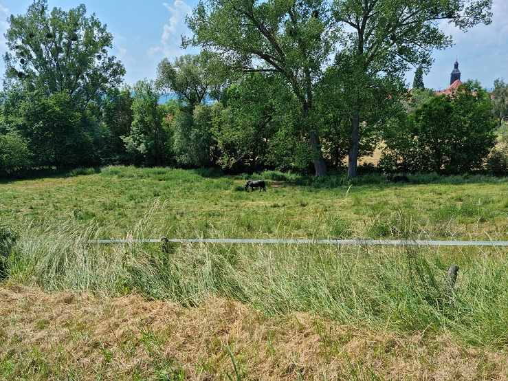 k Schlittenberg 01