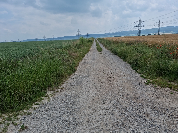 k Trahnenweg 07