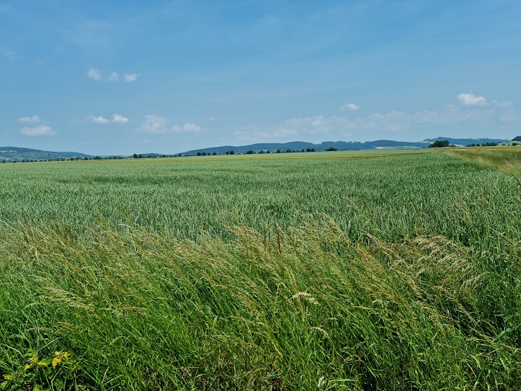 k Wasserfurche 01